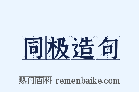 同极造句是什么意思的图片
